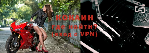 a pvp Новозыбков